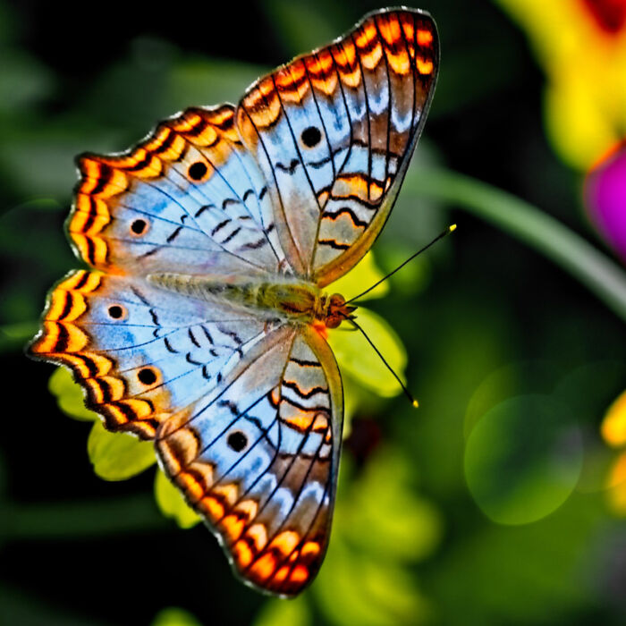 Healing, Support and Transformation